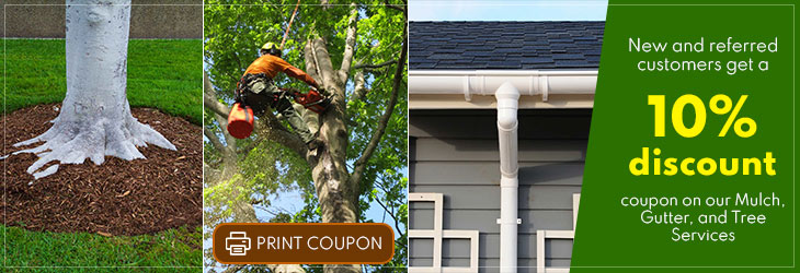 Hector Landscaping LLC