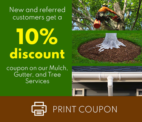 Hector Landscaping LLC